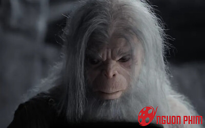 Tây Du Ký bản mới trở thành thảm họa màn ảnh