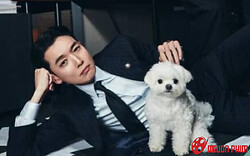 Top phim Hàn hay trên Netflix tháng 12/2025