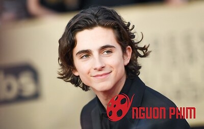 12 ngôi sao trẻ đã tỏa sáng trên bầu trời Hollywood năm 2018