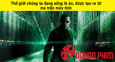 6 ý tưởng 