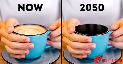 7 loại thực phẩm có thể biến mất trong tương lai vì biến đổi khí hậu