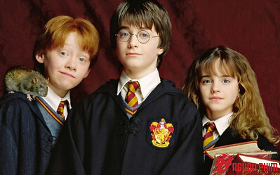 Bản truyền hình Harry Potter sẽ casting lại toàn bộ diễn viên, ai 'đủ trình' để thế chỗ Emma Watson?