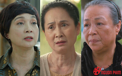 BXH rating phim Việt tuần qua: Cuộc Đời Vẫn Đẹp Sao thăng hạng, top 1 quá xứng đáng