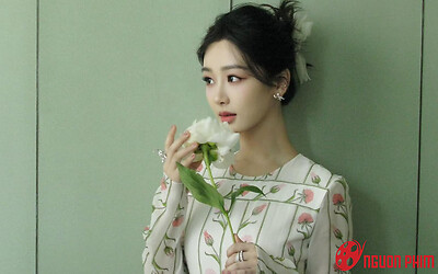 Cả 3 bộ phim nhất phiên của Dương Tử rating đều chạm đáy, đây là đỉnh lưu sao?