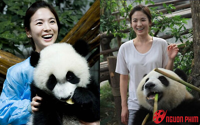 Cảnh Song Hye Kyo chăm sóc gấu trúc hot trở lại, mặt mộc mỹ nhân gây sốc