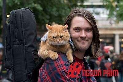 Chú mèo truyền cảm hứng cho 