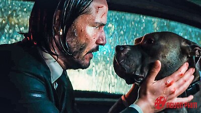Cún con xấu số của John Wick hiện ra sao?