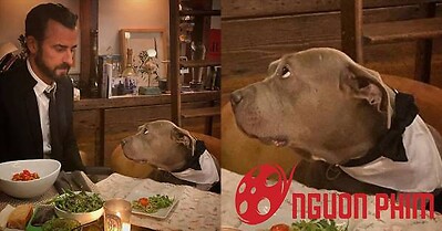 Điểm danh những người nổi tiếng tình nguyện làm 