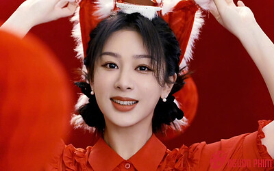 Dương Tử bất ngờ gặp biến trong sự nghiệp