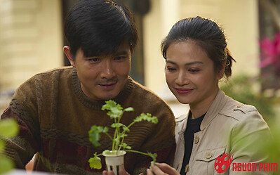 Gia Đình Mình Vui Bất Thình Lình: Khán giả mong phim đừng tẩy trắng cho Công