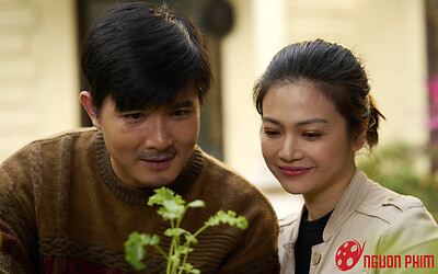 Gia Đình Mình Vui Bất Thình Lình lập kỷ lục về lượt xem trên Tiktok