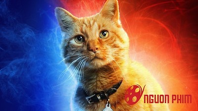 Giải mã 2 đoạn after-credit Captain Marvel cho những ai thiếu kiên nhẫn