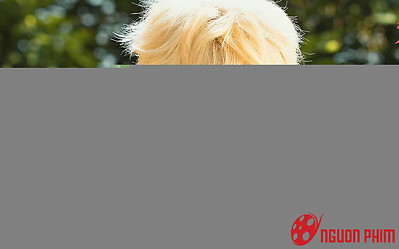 Hậu scandal giường chiếu, Trần Phi Vũ bị các sao nữ xa lánh, không ai chịu đóng phim cùng?