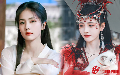 Hóa ra Cúc Tịnh Y là người đã khiến Ninh An Như Mộng của Bạch Lộc không thể lên sóng?