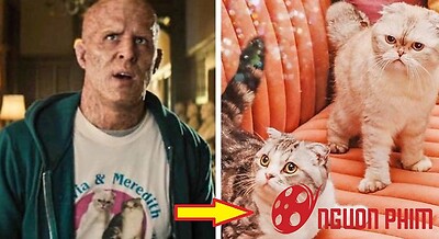 Loạt chi tiết quan trọng từ những bộ phim đình đám mà chúng ta vô tình bỏ lỡ