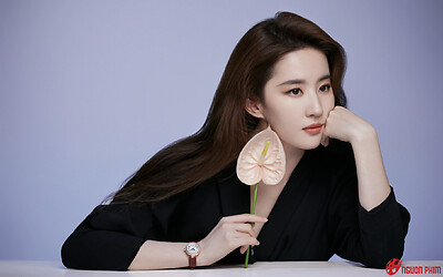 Lưu Diệc Phi công bố tin vui ở tuổi 37