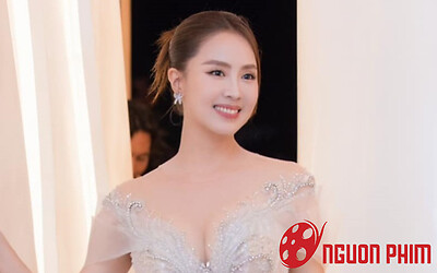 Mừng cho sự nghiệp của Hồng Diễm