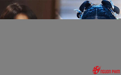 Nghịch lý như phim Hoa ngữ: Triệu Lệ Dĩnh và Bạch Lộc cùng bị ném đá vì xuất hiện quá nhiều