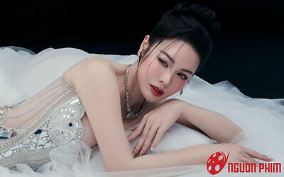 Nhật Kim Anh giàu thế nào trước khi sinh em bé thứ 2?