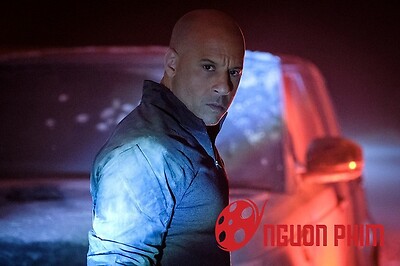 Những bộ phim gây thất vọng bậc nhất năm 2020