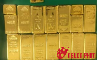 Nữ diễn viên Ấn Độ bị tịch thu hơn 14 ký vàng