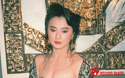 Nữ diễn viên bị tố ngoại tình với con nuôi của chồng