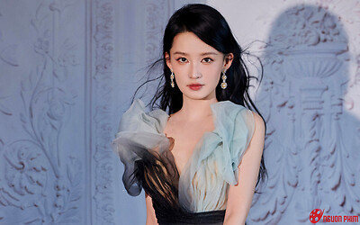 Nữ diễn viên đóng phim 17 năm không hot, bị fan của bạn diễn coi thường