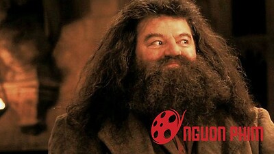 Phần 3 của sinh vật huyền bí nhiều khả năng bổ sung nhân vật từ Harry Potter