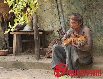 Phim Cậu Vàng bị ném đá, oan hay không oan?