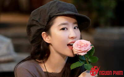 Phim của Lưu Diệc Phi nhận tin vui