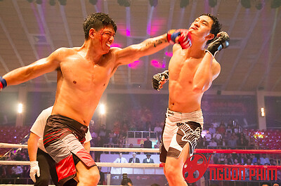 Phim của Việt Hương lỗ nặng 49 tỷ, rời rạp vào kho sau 15 ngày ra mắt