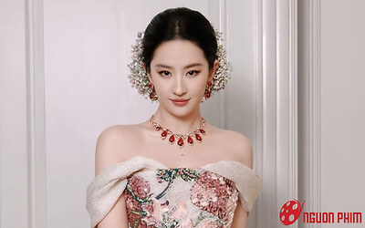 Quyền lực thực sự của Lưu Diệc Phi