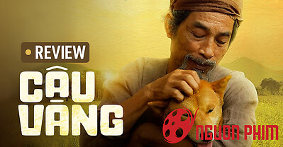 Review Cậu Vàng -  Khi nhà làm phim nửa chừng quên mất mình đang làm về cái gì