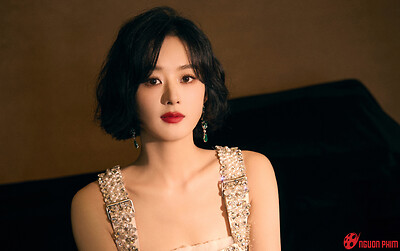 Scandal 10 năm trước từng khiến Triệu Lệ Dĩnh suýt mất sự nghiệp