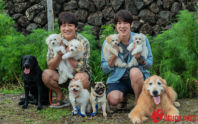 Tìm Nhà Cho 'Boss': Phim chữa lành tâm hồn, cài cắm thông điệp về gia đình, tình yêu động vật