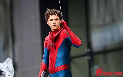 Tom Holland bị chấn thương não, phần phim mới của Spider Man tạm dừng quay