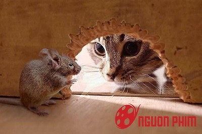 Tom & Jerry phiên bản điện ảnh sẽ kể lại nguồn gốc các nhân vật