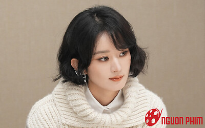 Triệu Lệ Dĩnh dính nghi vấn đóng phim đạo nhái