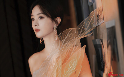 Triệu Lệ Dĩnh gặp sự cố đáng tiếc