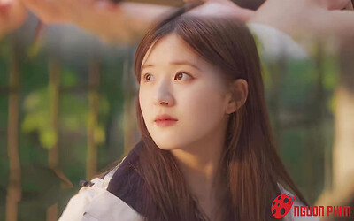 Triệu Lộ Tư lại gặp biến lớn khiến sự nghiệp có nguy cơ 'bay màu'