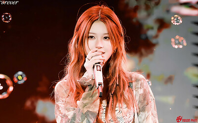 Triệu Lộ Tư xin lỗi