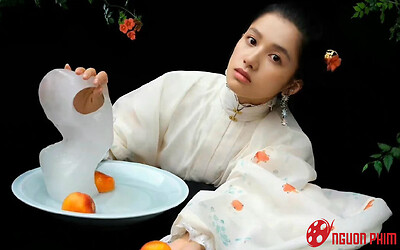 Trương Tịnh Nghi làm gì mà bị khuyên không nên đóng cổ trang?