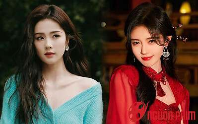 Vì sao cùng tuổi nhưng Bạch Lộc già hơn hẳn Cúc Tịnh Y