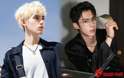 Vương Hạc Đệ và Trần Phi Vũ chính thức hợp tác chung trong dự án song nam chủ?