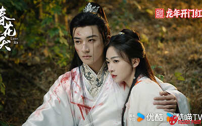 Xuân Hoa Diễm gây tranh cãi, Lưu Học Nghĩa - Ngô Cẩn Ngôn không có chemistry