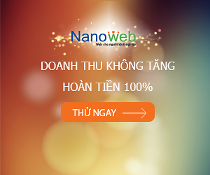 NanoWeb 1