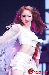 Mạnh Mỹ Kỳ