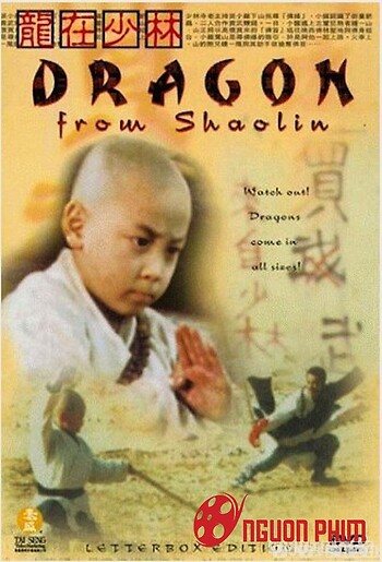 Tiểu Tử Thiếu Lâm 3 (Rồng Tại Thiếu Lâm)