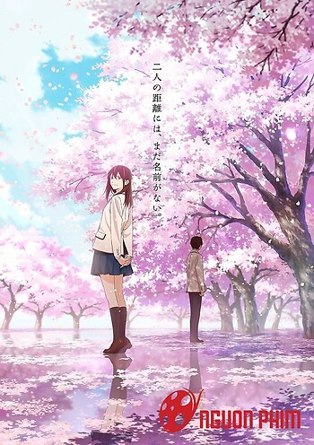 Tôi Muốn Ăn Tụy Của Cậu Anime