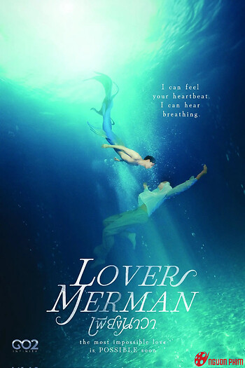 Người Tình Nam Ngư